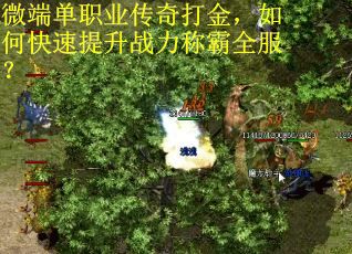微端单职业传奇打金，如何快速提升战力称霸全服？
