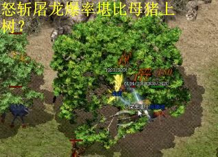 怒斩屠龙爆率堪比母猪上树？