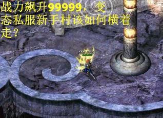 战力飙升99999，变态私服新手村该如何横着走？