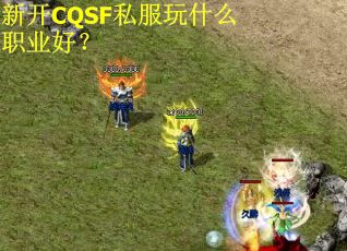 新开CQSF私服玩什么职业好？