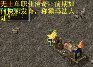 无上单职业传奇：前期如何快速发育，称霸玛法大陆？