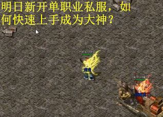 明日新开单职业私服，如何快速上手成为大神？