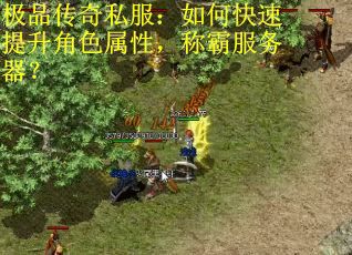 极品传奇私服：如何快速提升角色属性，称霸服务器？