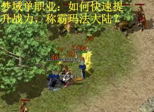 梦域单职业：如何快速提升战力，称霸玛法大陆？