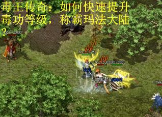 毒王传奇：如何快速提升毒功等级，称霸玛法大陆？