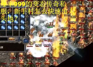 爆率999的变态传奇私服，新手村怎么快速出人头地？