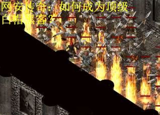 网安传奇：如何成为顶级白帽黑客？