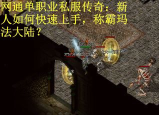 网通单职业私服传奇：新人如何快速上手，称霸玛法大陆？