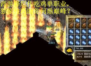 西游释厄传吃鸡单职业，独家技巧助你问鼎巅峰？