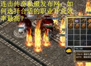 连击传奇私服发布网：如何选择合适的职业开荒效率最高？