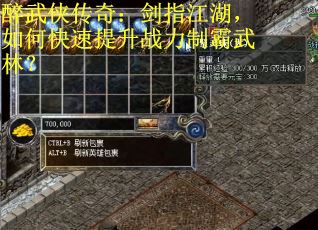 醉武侠传奇：剑指江湖，如何快速提升战力制霸武林？