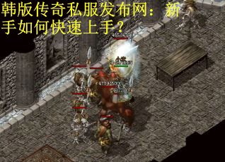 韩版传奇私服发布网：新手如何快速上手？