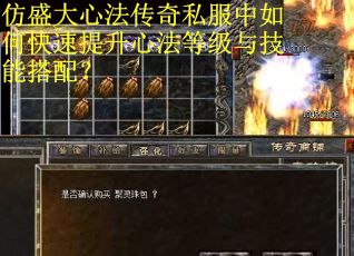 仿盛大心法传奇私服中如何快速提升心法等级与技能搭配？