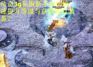 传奇3g私服新手如何快速提升等级与获取稀有装备？