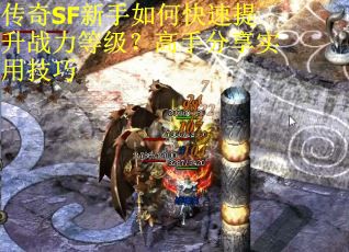 传奇SF新手如何快速提升战力等级？高手分享实用技巧