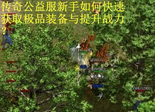 传奇公益服新手如何快速获取极品装备与提升战力？