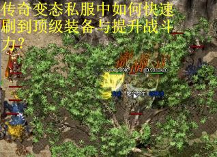 传奇变态私服中如何快速刷到顶级装备与提升战斗力？