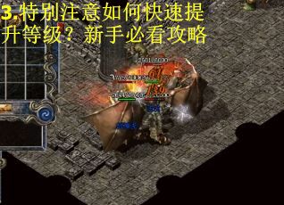 3.特别注意如何快速提升等级？新手必看攻略