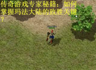 传奇游戏专家秘籍：如何掌握玛法大陆的致胜关键？