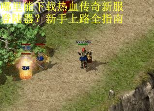 哪里能下载热血传奇新服登陆器？新手上路全指南