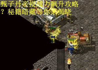 甄子丹亲授战力飙升攻略？秘籍暗藏等你来揭晓