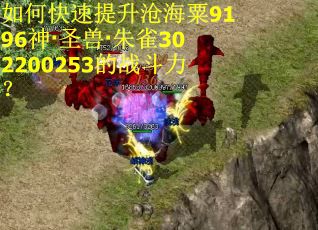 如何快速提升沧海粟9196神·圣兽·朱雀302200253的战斗力？